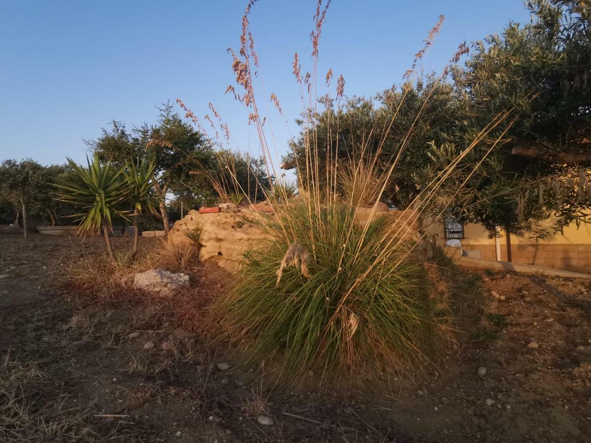 فيلا Sole Terra E Mare Casa Chiara مونتاليغرو المظهر الخارجي الصورة